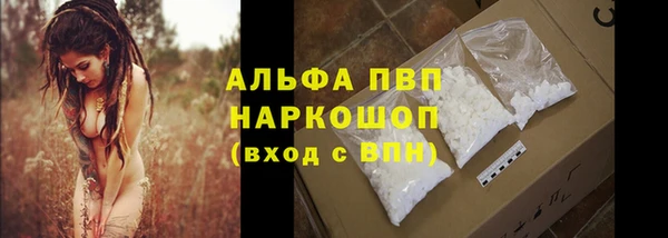 спиды Арсеньев
