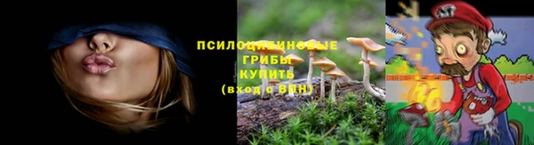 прущая мука Аркадак