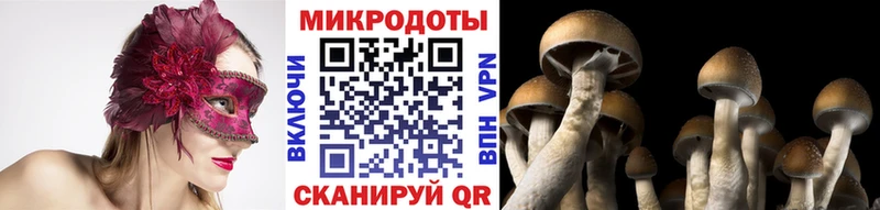 Галлюциногенные грибы мицелий Свободный